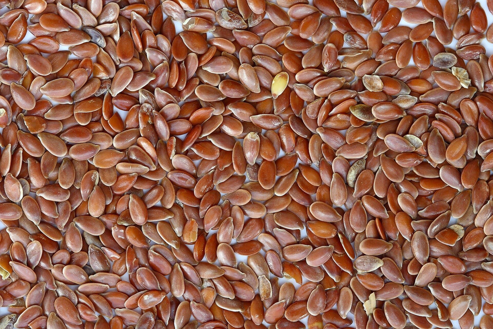 Close-up photo of flax seeds for the Agree Superfoods article on daily flax seed use