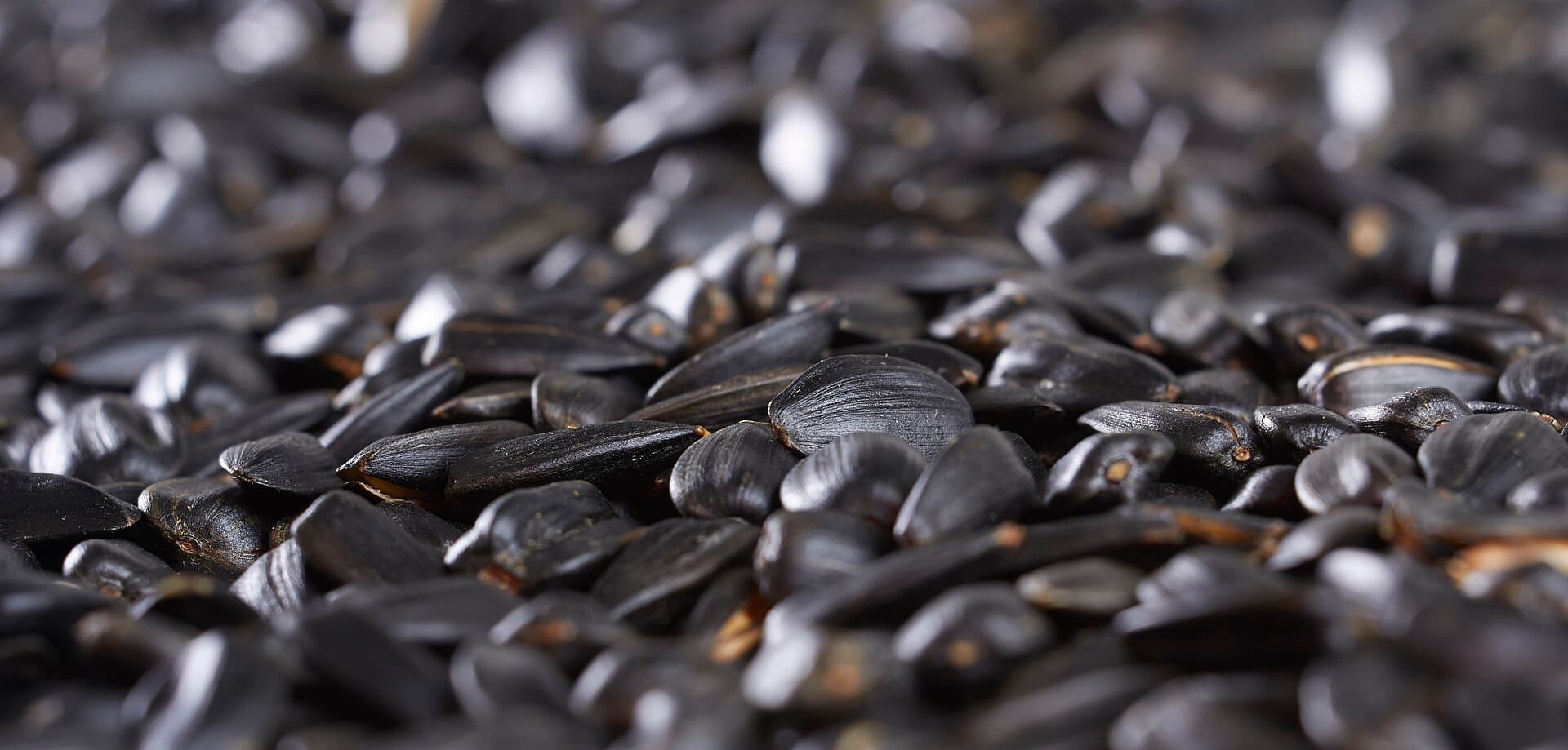 Close-up photo of sunflower seeds for the Agree Superfoods article on everyday seed snacking